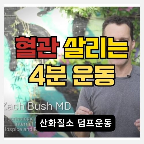 무료로 집에서 혈관 건강을 강화하는 산화질소 덤프 운동 썸네일