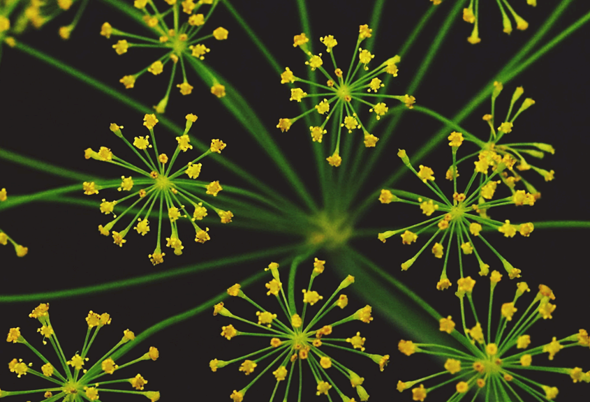 키아리 기형, 뇌 구조 이상이 유발하는 신경 증상(원인, 증상, 치료법)