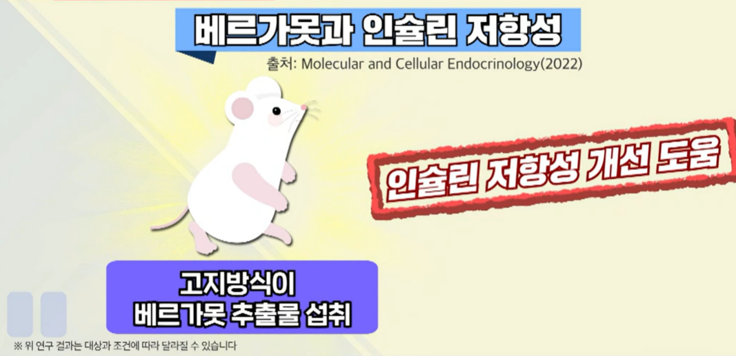 베르가못 효능