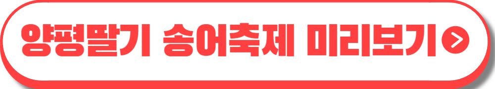 양평딸기 송어축제