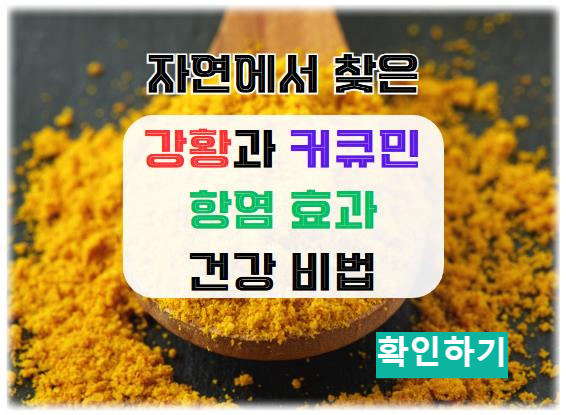 강황과 커큐민의 항염 효과: 자연에서 찾은 건강 비법