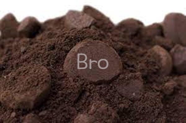 커피 찌꺼기 사진 3