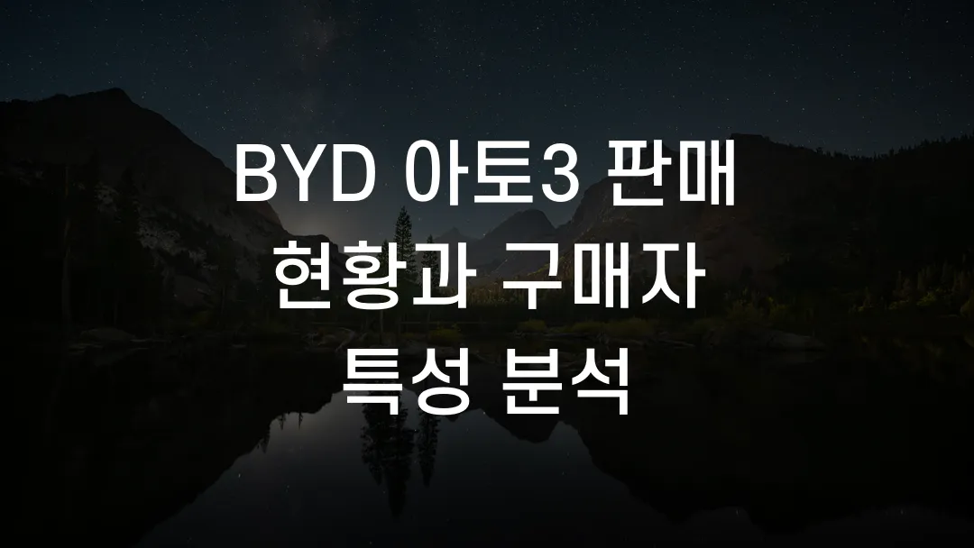BYD 아토3 판매 현황과 구매자 특성 분석