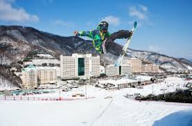 비발디 파크 스키장 개장일