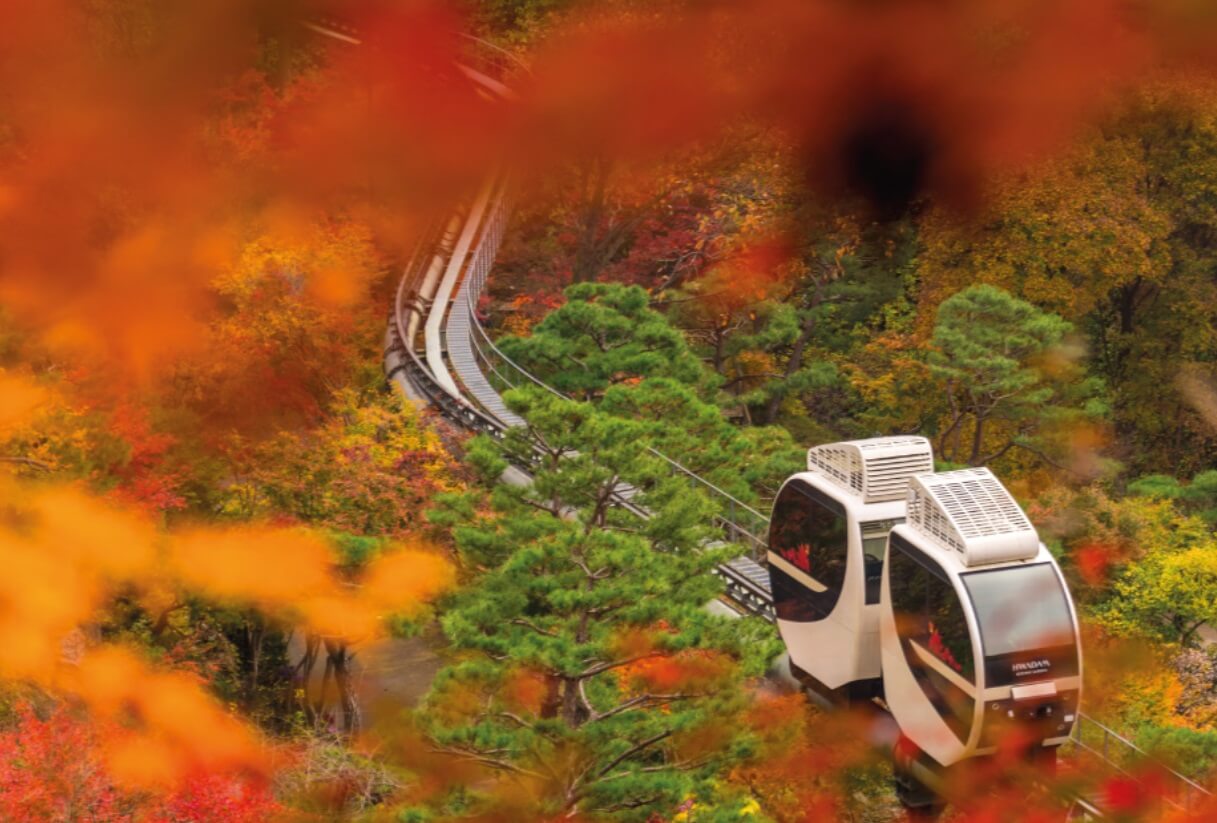 화담숲 단풍 언제부터