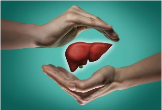 간수치-정상범위