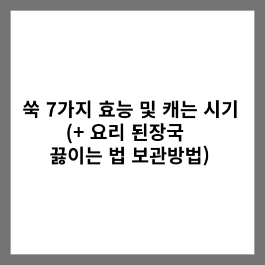 쑥 7가지 효능 및 캐는 시기 (+ 요리 된장국 끓이는 법 보관방법)