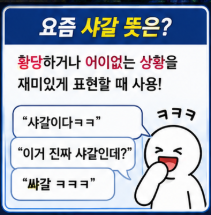 "샤갈은 욕일까 아닐까?" 샤갈 뜻 신조어 밈 유래 의미 왜 유행할까 총정리5