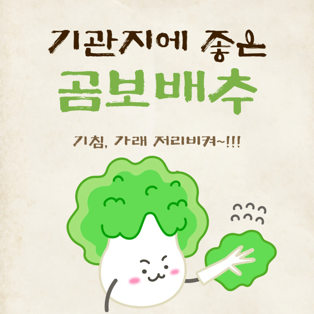 곰보배추 시럽 엑기스 효능 완벽정리(+곰보배추 효능 먹는법)