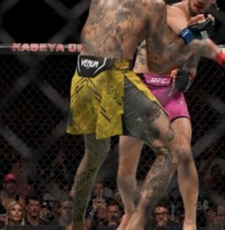 ufc 무료