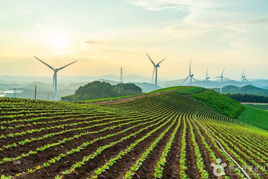 영양 가볼만한곳 베스트 10