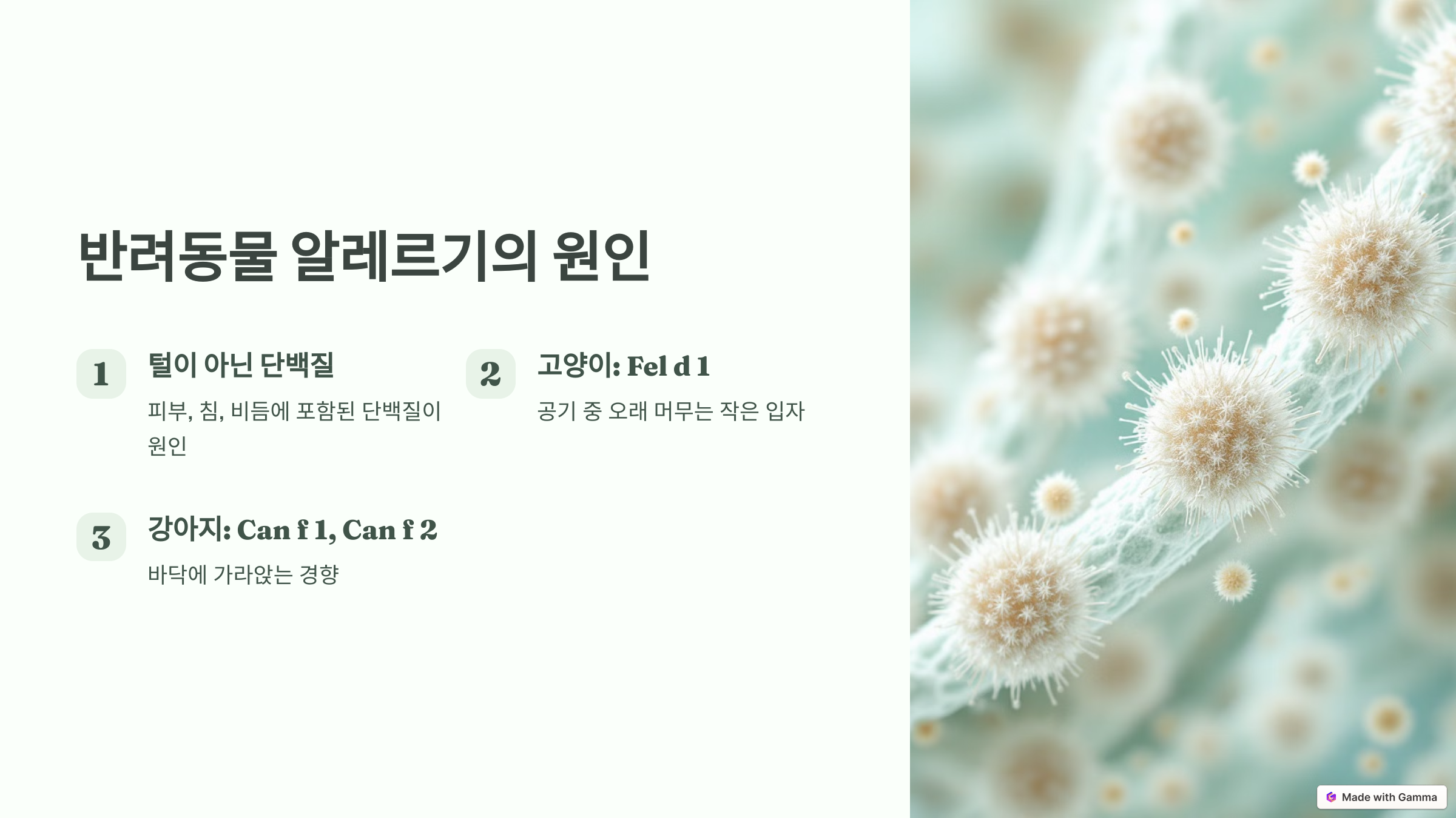 반려동물 알레르기