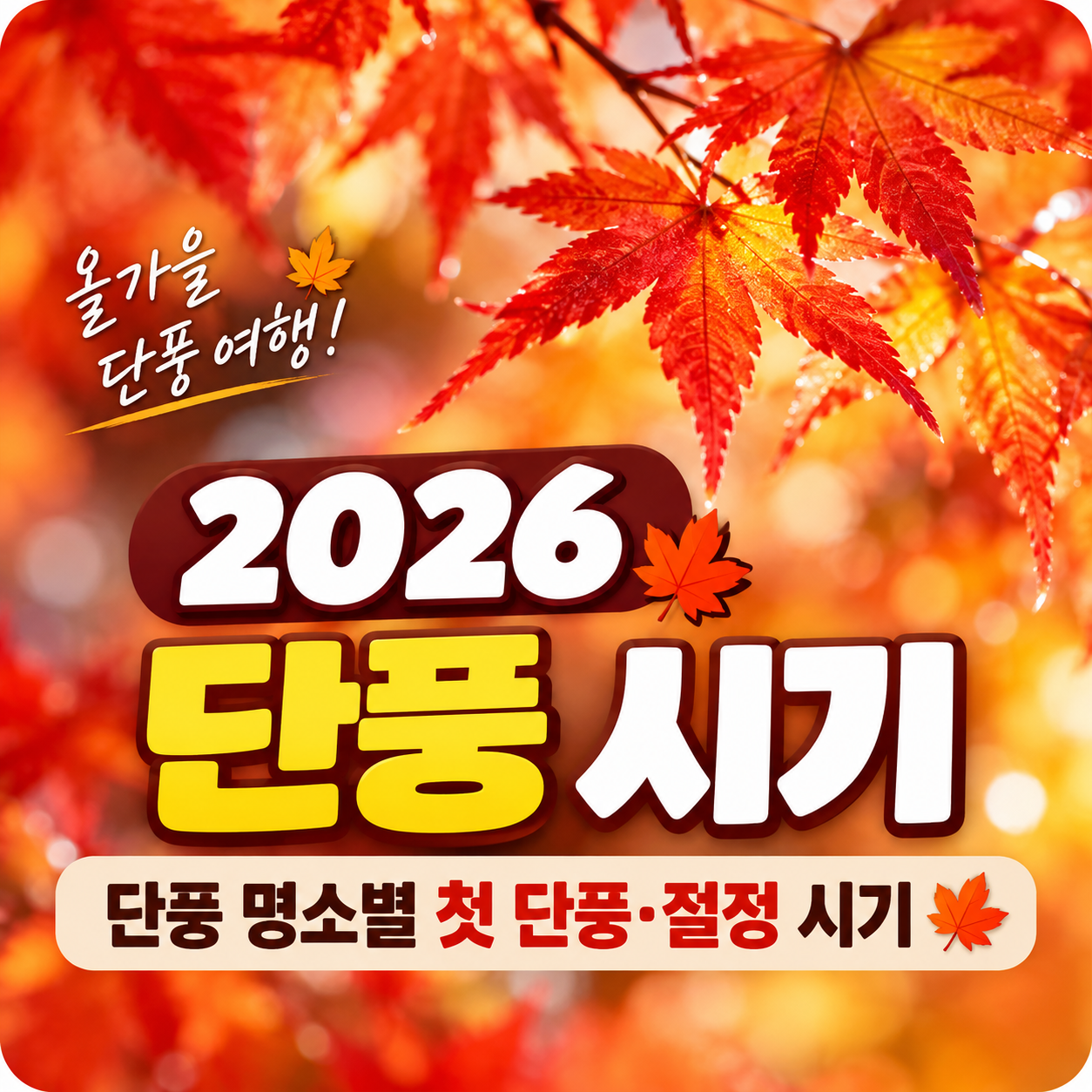 2026 전국 단풍 절정 시기 설악산 지리산 내장산 예상 일정