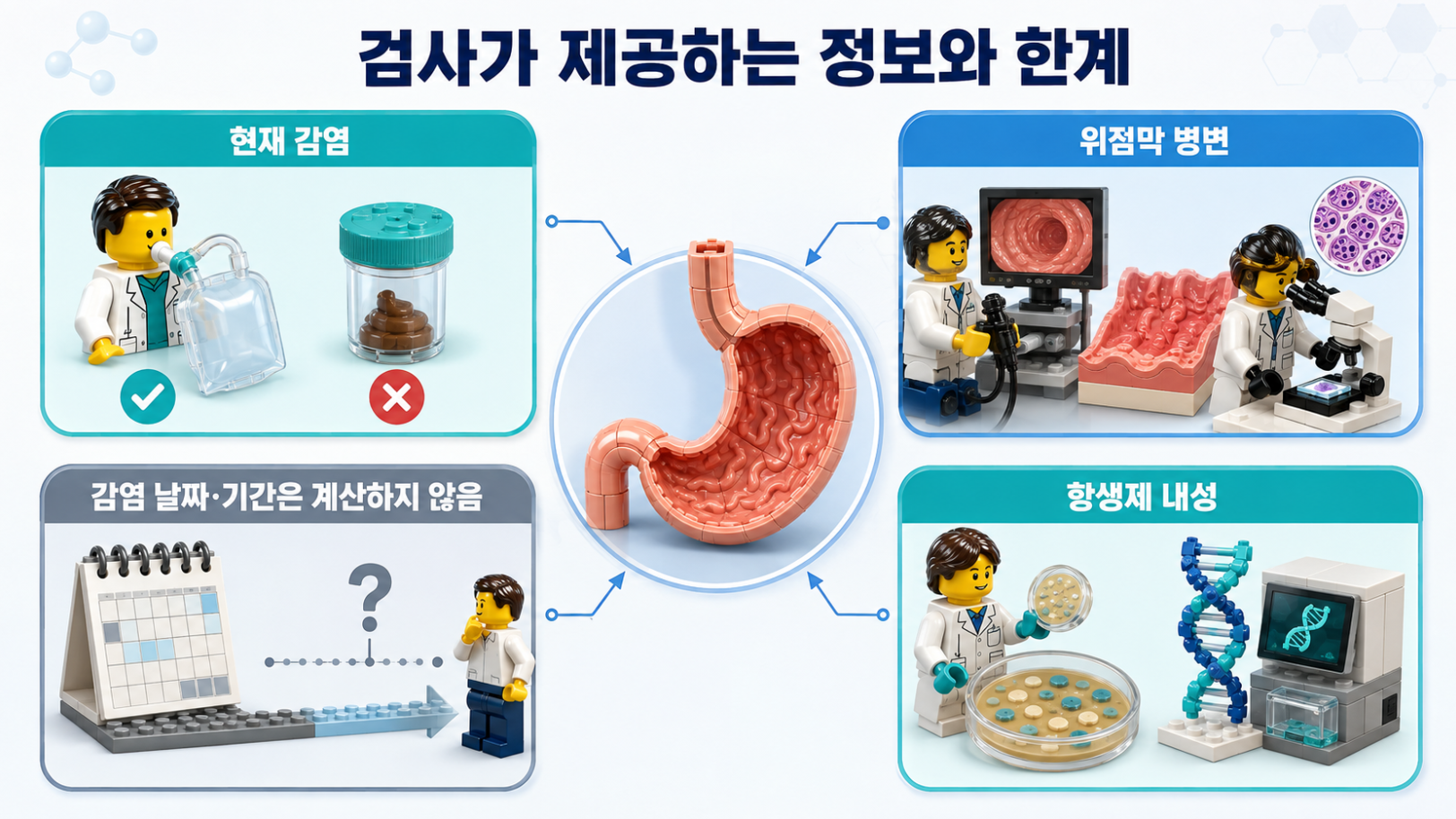 헬리코박터 검사가 제공하는 현재 감염·위점막 병변·항생제 내성 정보와 한계를 설명하는 의료 인포그래픽