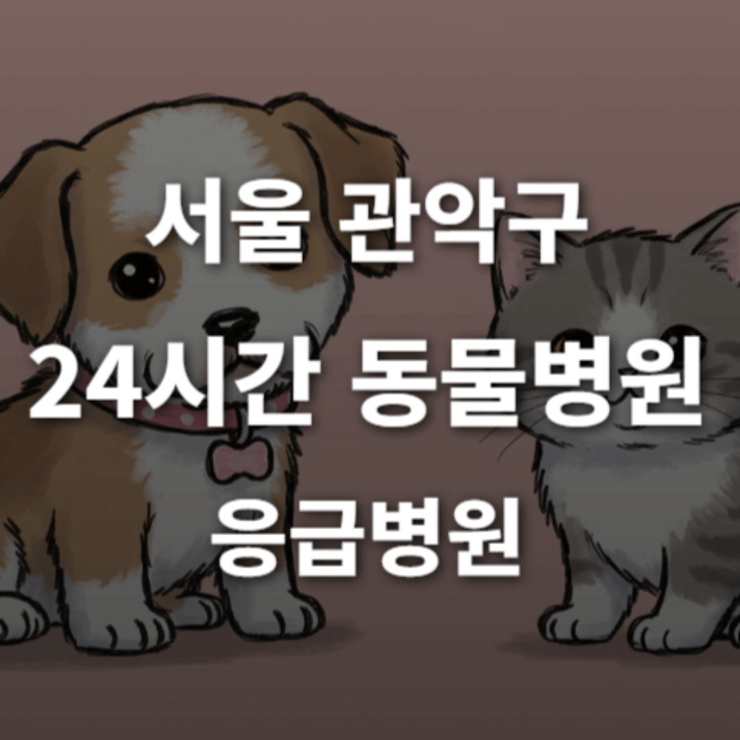 [서울 관악구 24시간 동물병원(봉천)] 반려동물 응급상황 대처 가능한 진료소