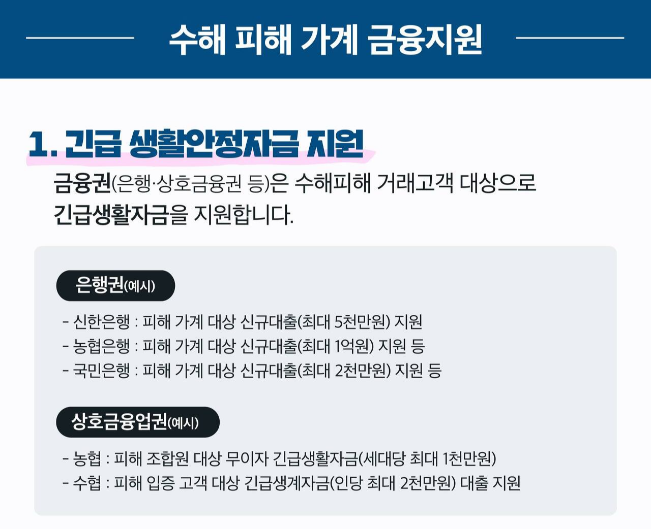 지원내용