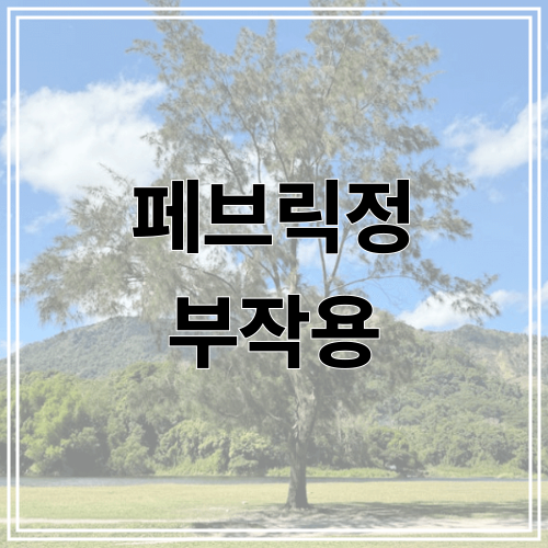 페브릭정 부작용