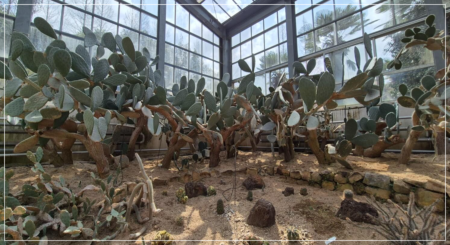 완도 가볼만한곳 베스트10 완도수목원