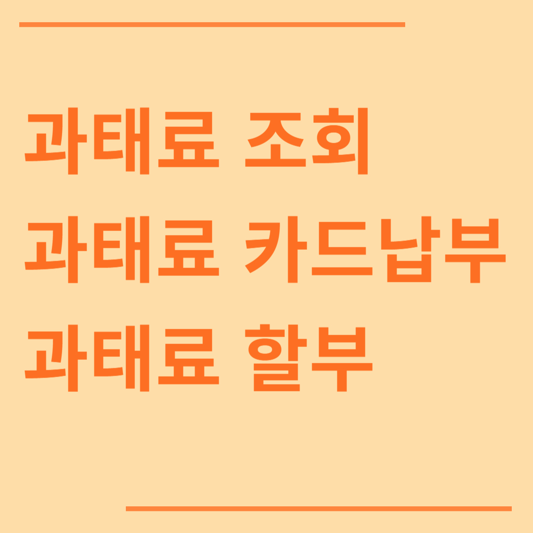 과태료 조회 과태료 카드납부 하는 법, 과태료 할부