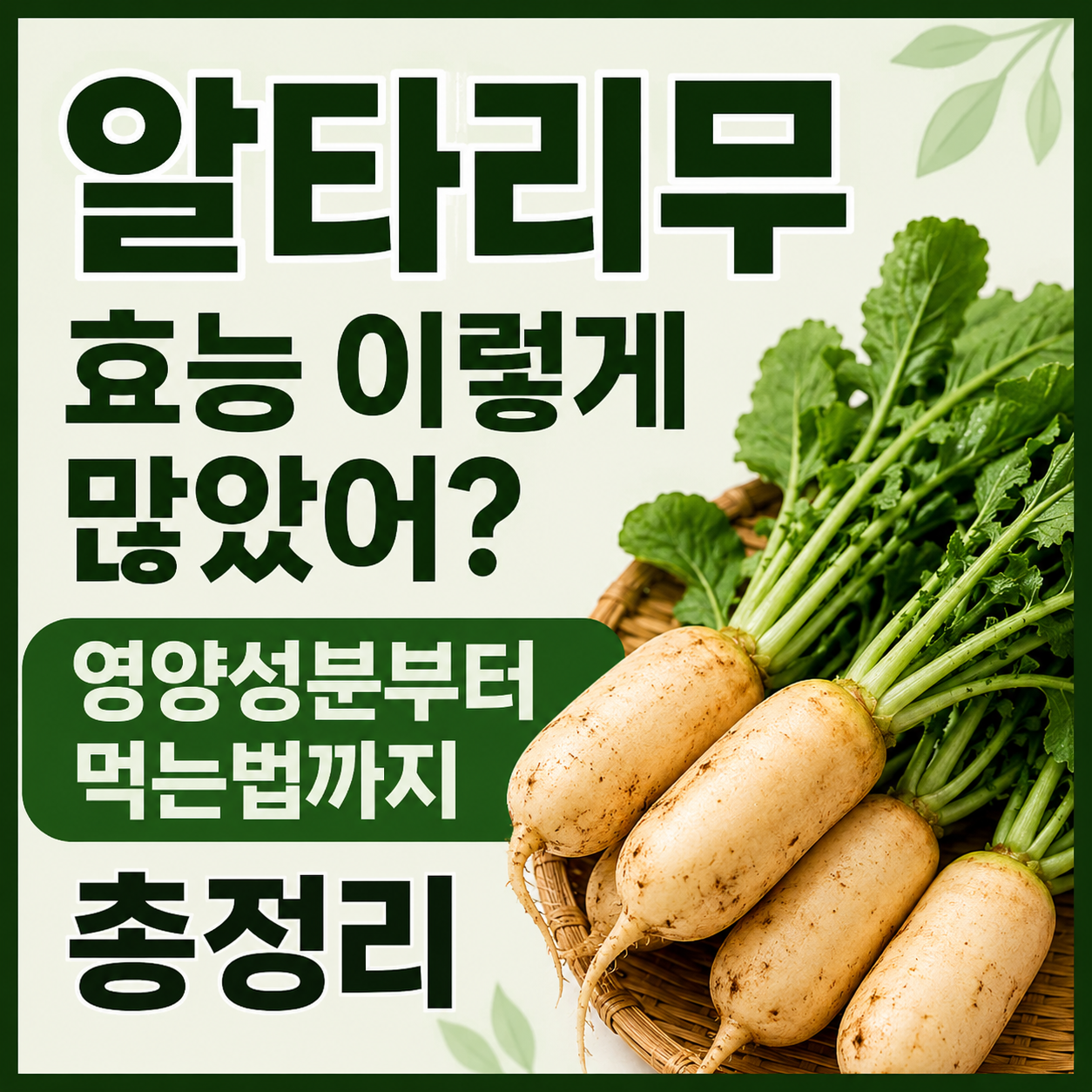 알타리무 효능