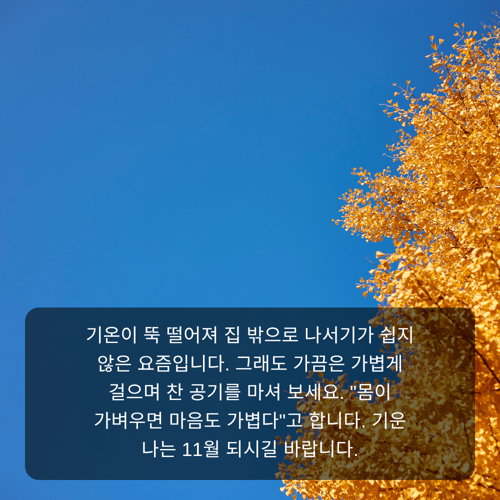 11월 인사말 이미지 13 - 몸이 가벼우면 마음도 가볍다, 산책 권하는 문구