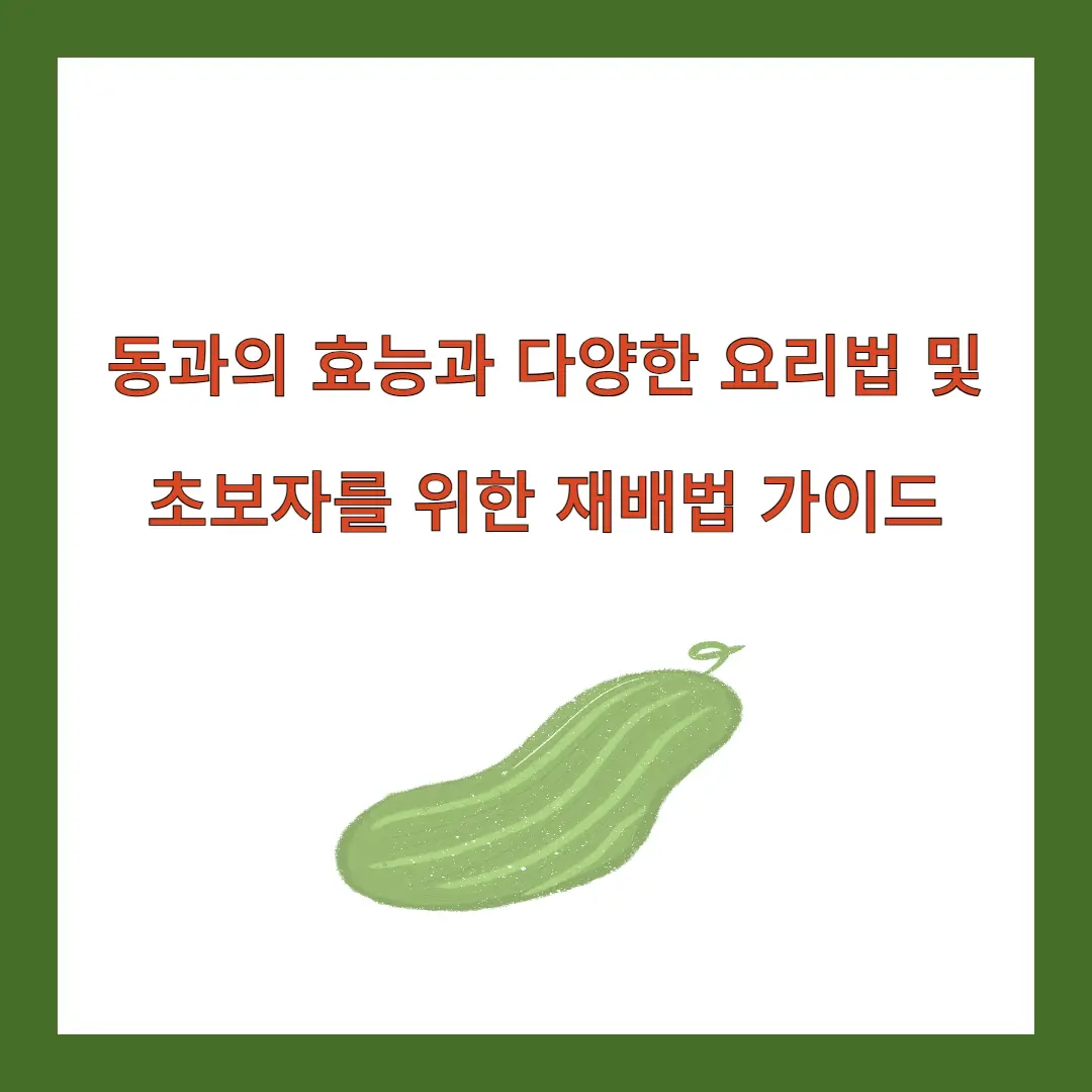 동과