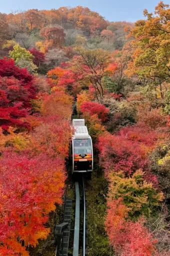 화담숲 입장료 할인 받는 법부터 예매 꿀팁까지는 총정리_8