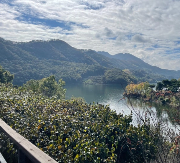 옥천/핫플레이스/대청호/천상의/정원/수생학습식물원