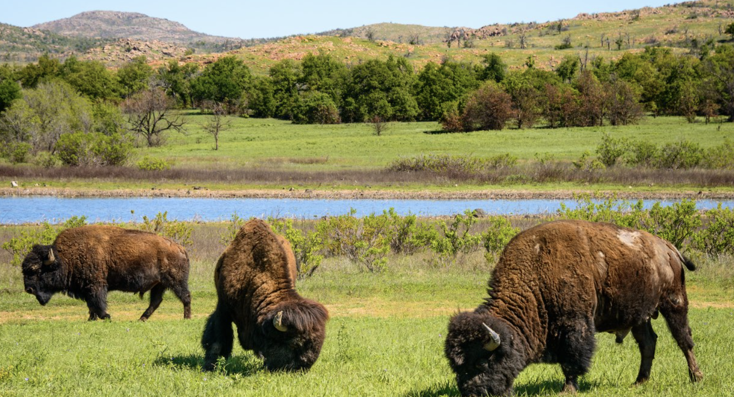 오클라호마주의 숨은 명소 관련 사진