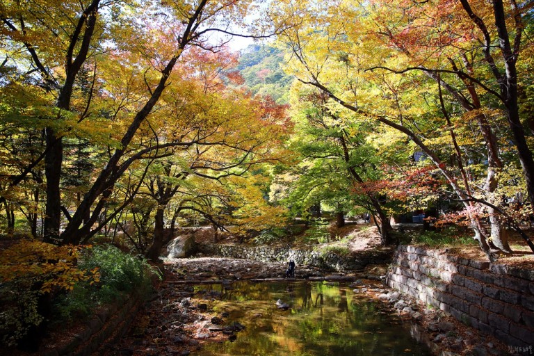 속리산 단풍시기