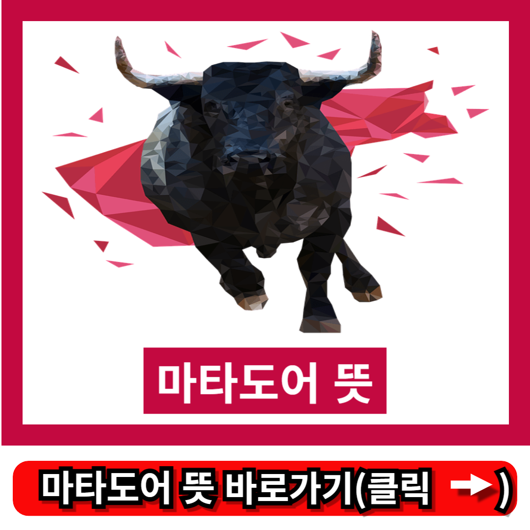 마타도어 뜻