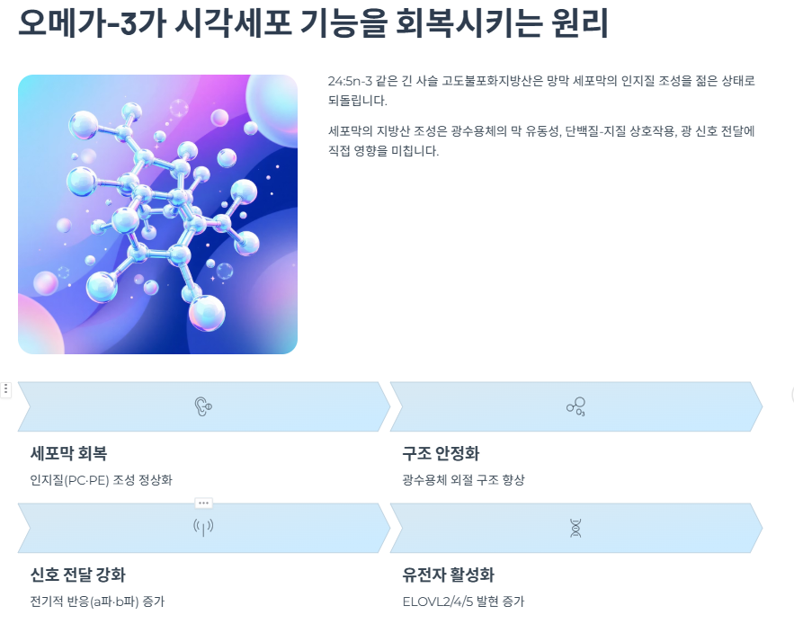 오메가-3가 시각세포 기능을 회복시키는 원리