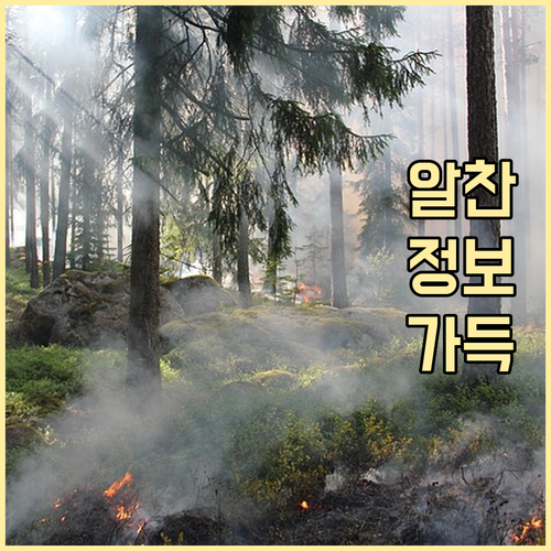 요일별 강서구 발산동 쓰레기 배출, ..