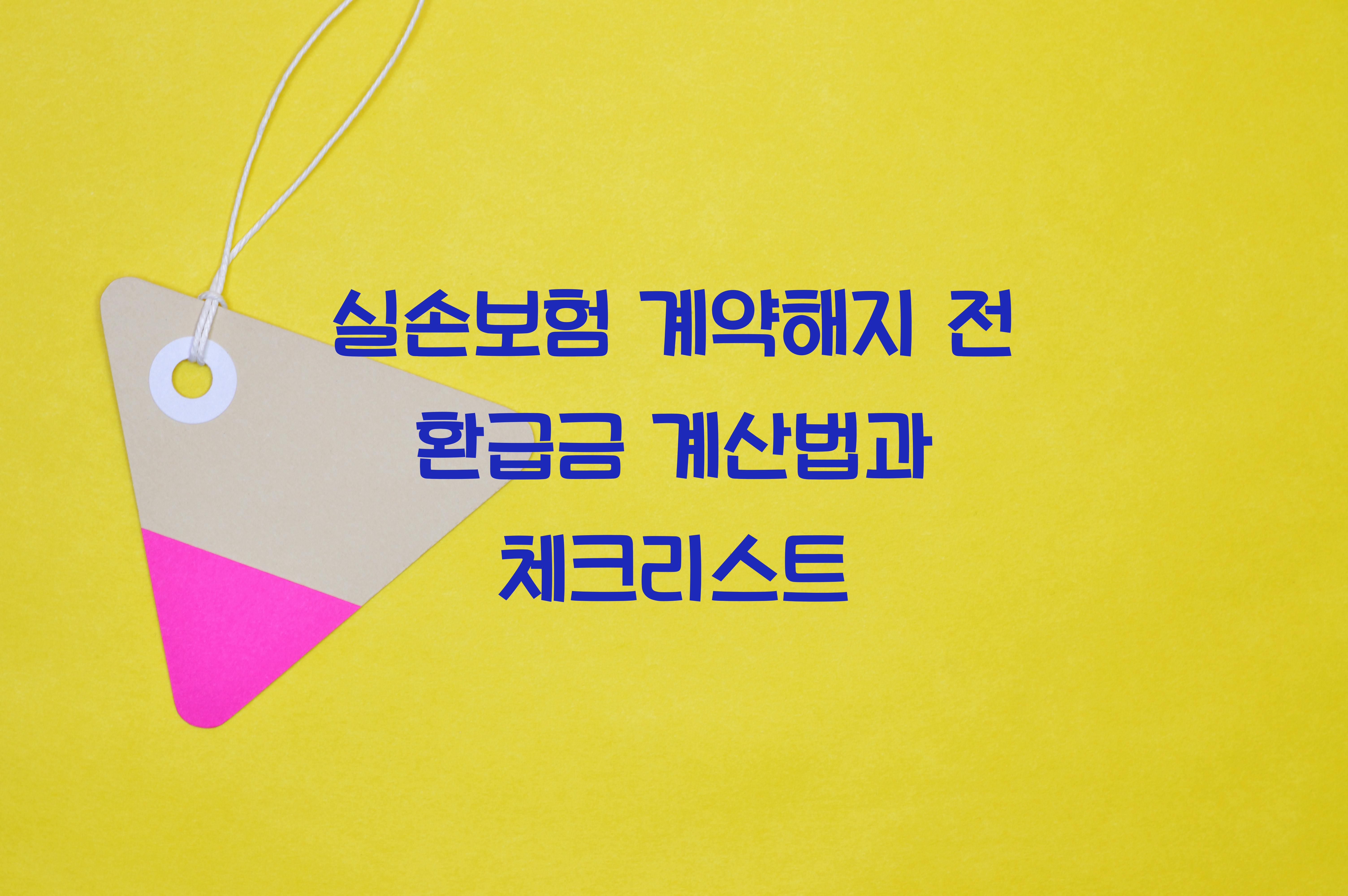 실손보험 계약해지 전 환급금 계산법