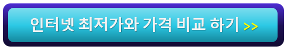 인터넷 최저가 가격 비교