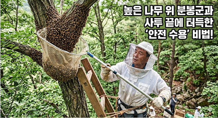 높은 나무 위 분봉군과 사투 끝에 터득한 '안전 수용' 비법