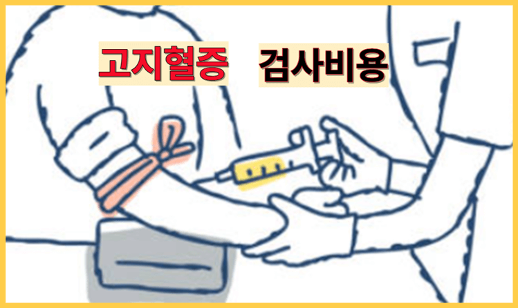 고지혈증 검사 비용