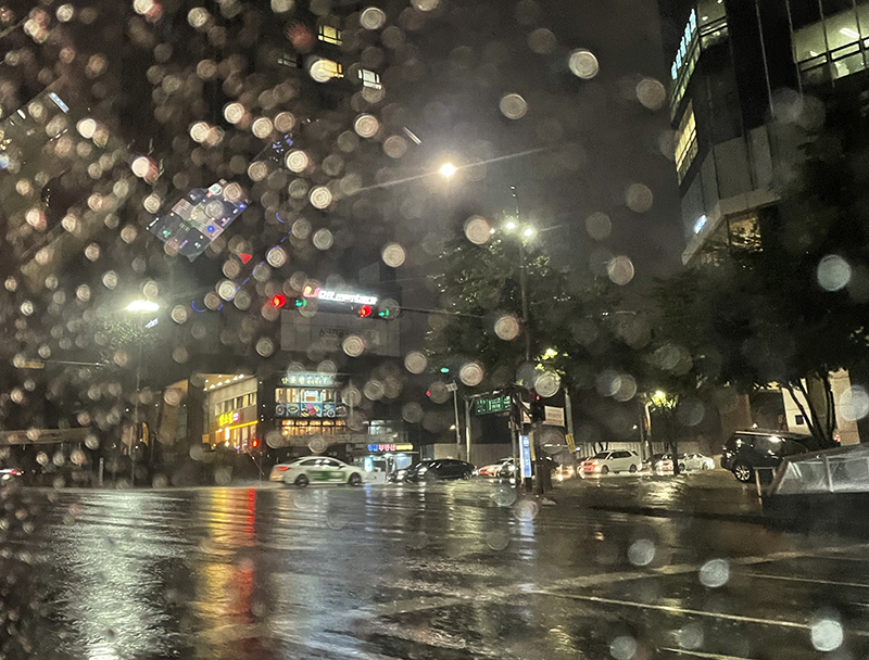 레몬 향기 블렌딩으로 감정 순환을 유도하는 장마철 향기 루틴