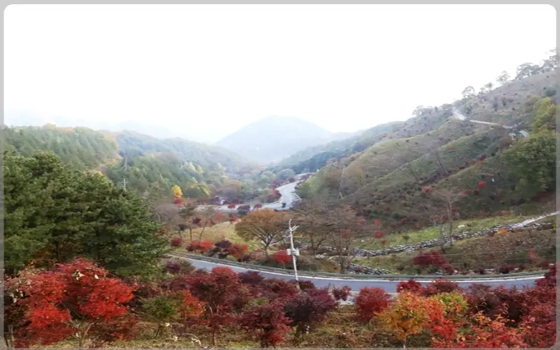 지리산 국립공원_23