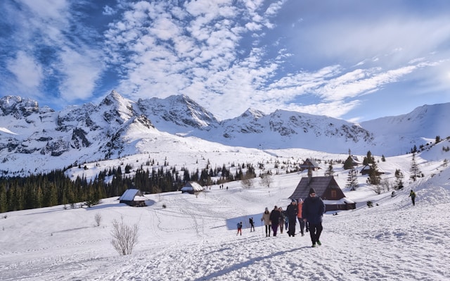 안성팜랜드 겨울 눈썰매장 할인 예약 꿀팁