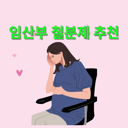 임산부 철분제