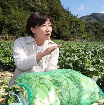 김장 채소 가격 할인 지원 40%까지