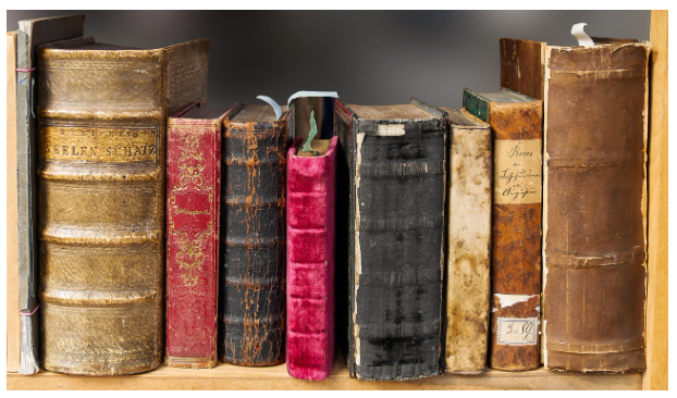 책 속에서 만난 단어와 나만의 해석&ndash; 작가가 남긴 한 문장에서 새로운 뜻을 발견하는 순간