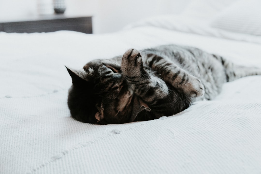 Sleep training