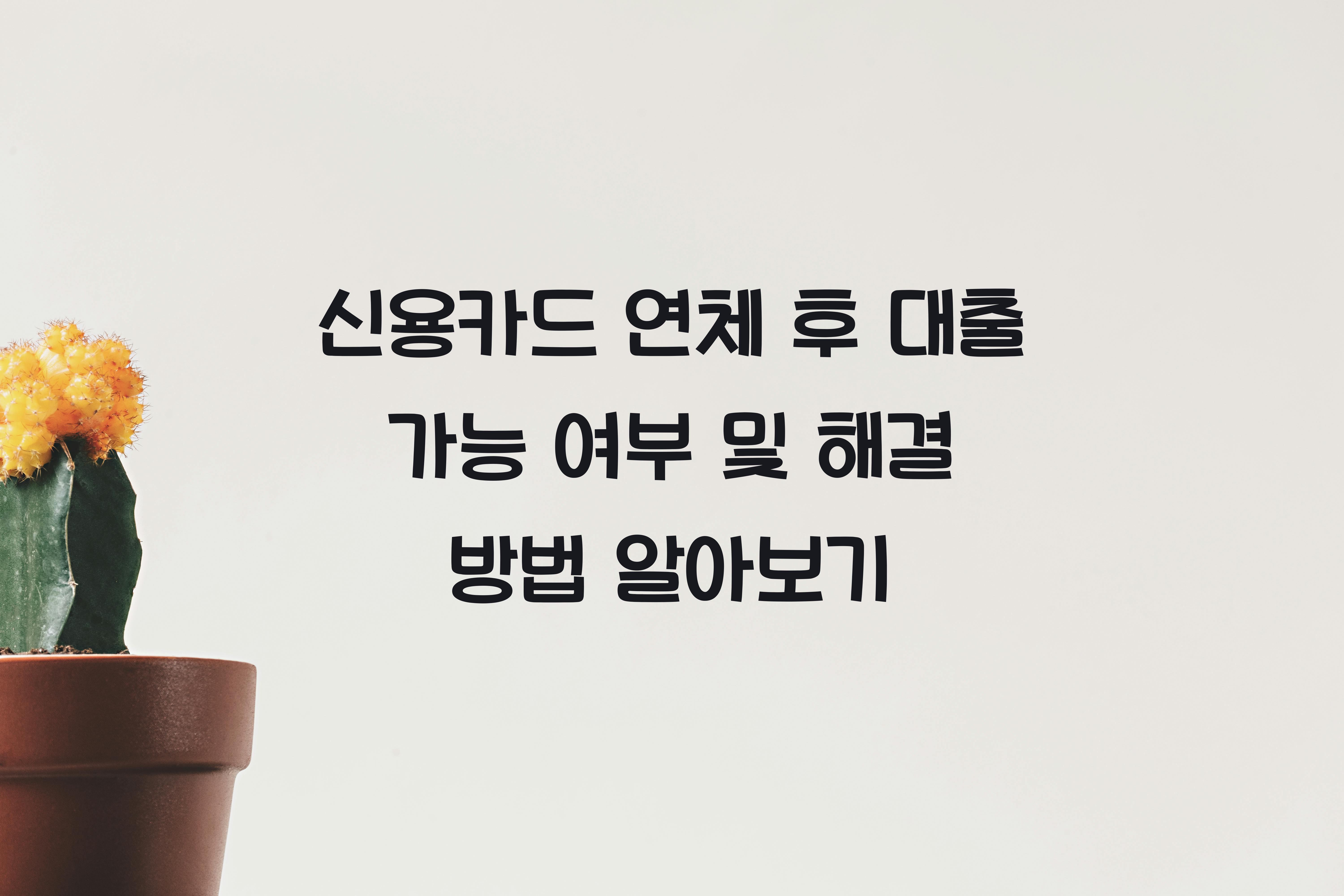 신용카드 연체 후 대출 가능 여부