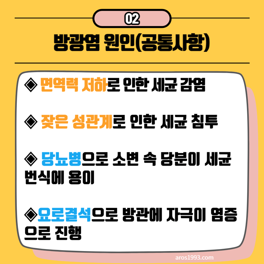 방광염 증상 및 치료방법(원인, 자연치료)