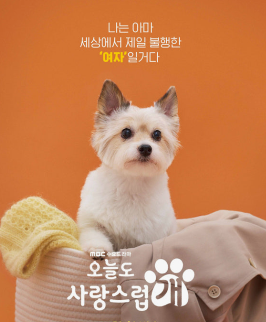 나는 아마 세상에서 가장 불행한 여자일거야라는 문구 아래 빨래 바구니 속에서 개로 변한 주인공이 슬픈 눈으로 앞을 응시하고 있다.