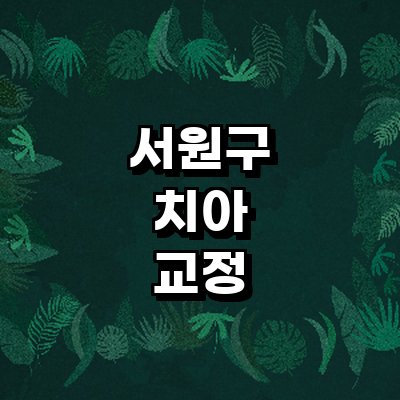 청주 서원구 교정 치과