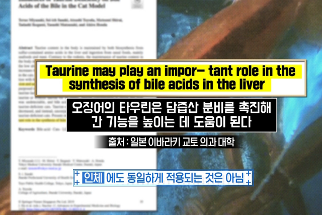 마른 오징어 하얀가루 타우린 효능 마른오징어보관법