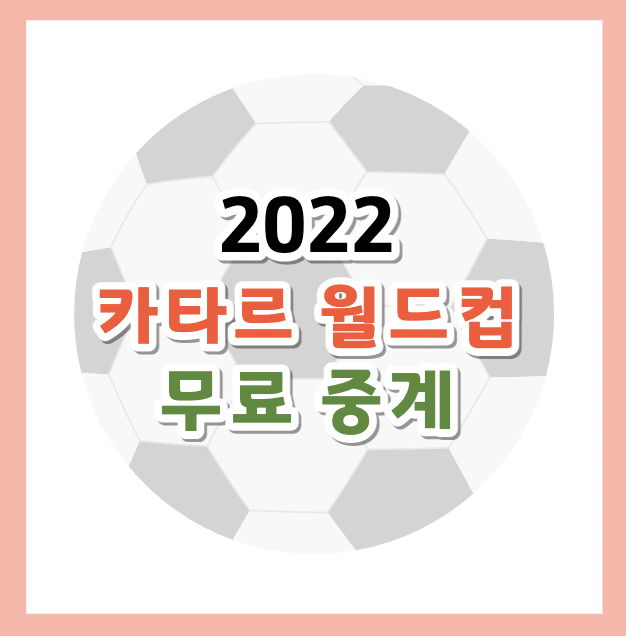 카타르월드컵-축구중계